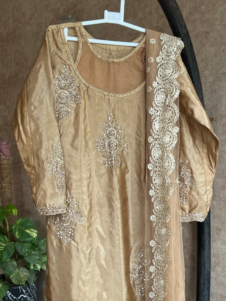Fancy Redrobe Dress 4