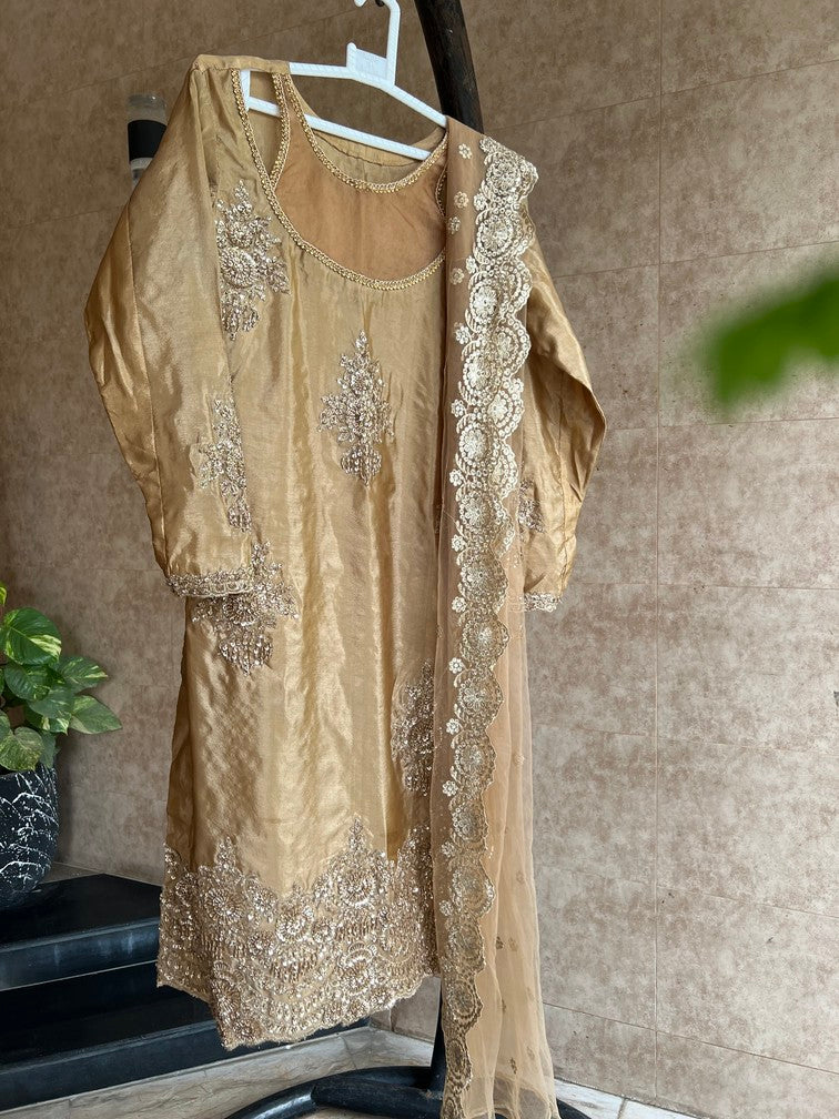Fancy Redrobe Dress 4