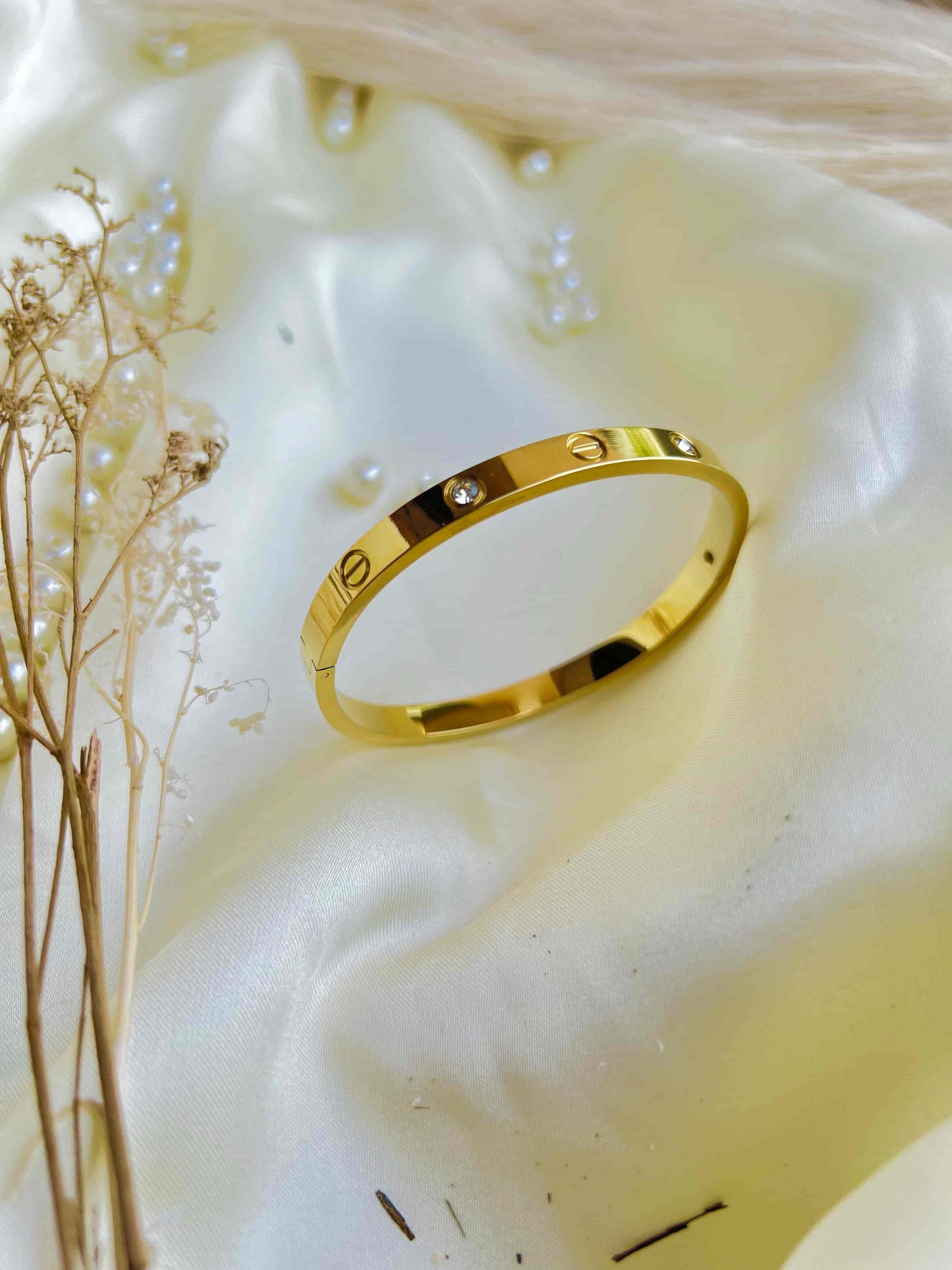 Stainless Steel Luxury Bangle