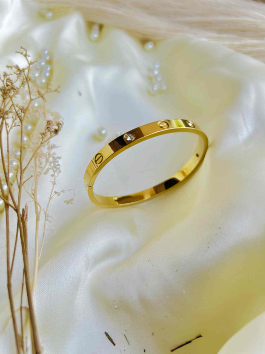 Stainless Steel Luxury Bangle