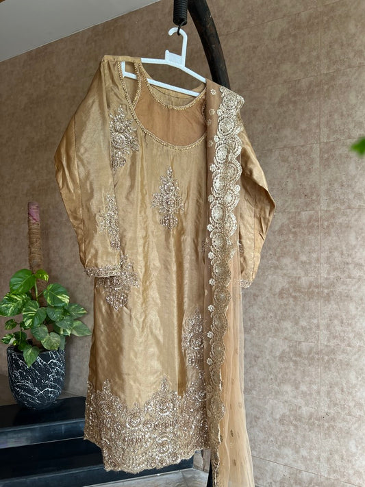 Fancy Redrobe Dress 4