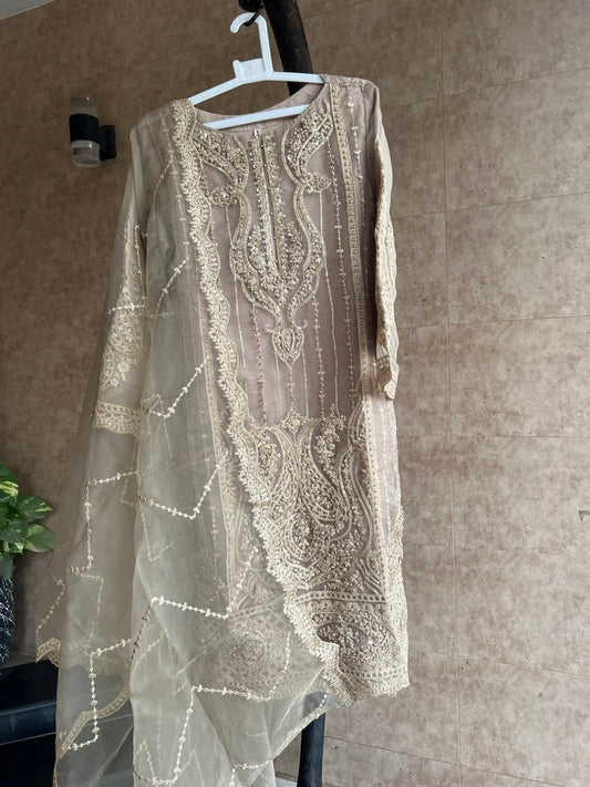 Fancy Redrobe Dress 8