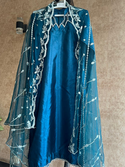 Fancy Redrobe Dress